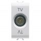 Toma Coaxial TV  - conector iec macho 9,5MM - directa + paso de corriente - 1 módulo - blanco brillante - Chorusmart